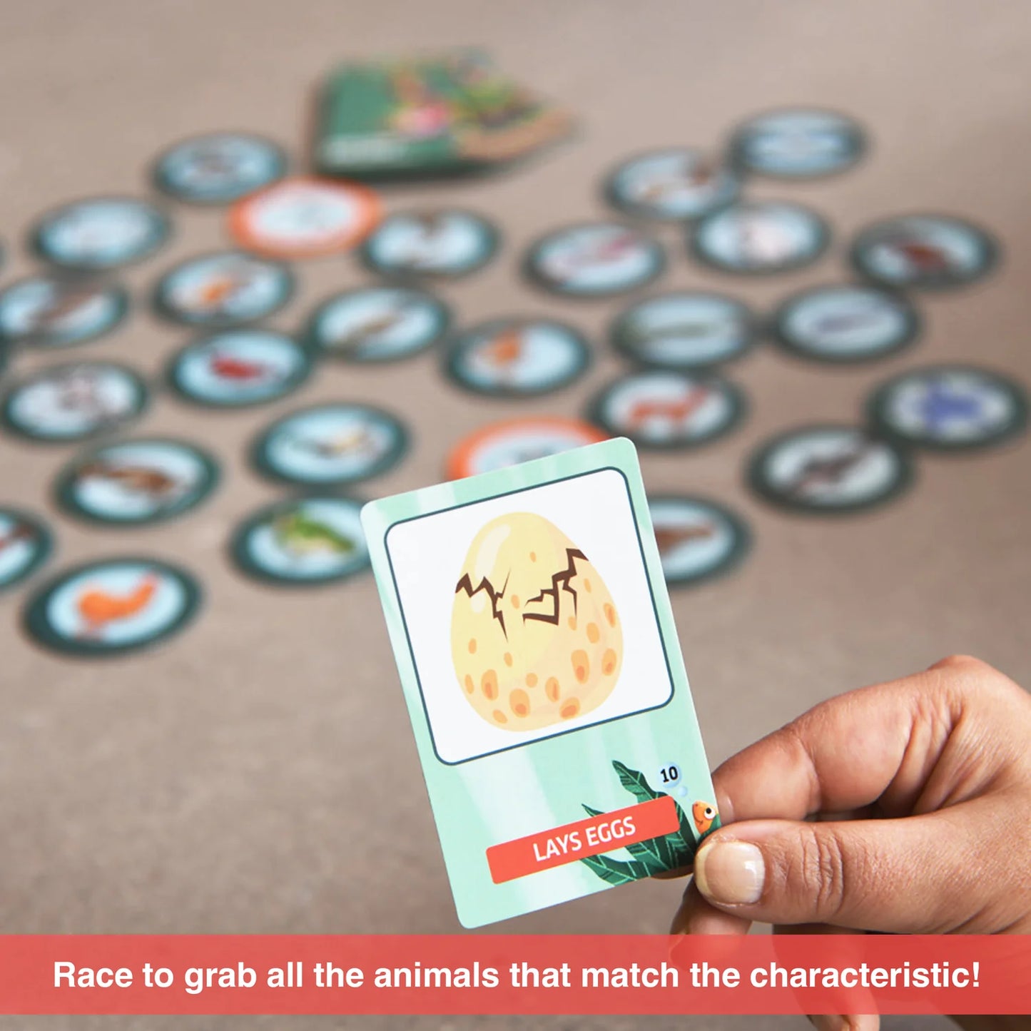 A Game of Characteristics - Eye See- The Animal World